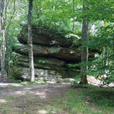 Review photo of Quaker Area — Allegany State Park State Park by Ashley V., October 11, 2018