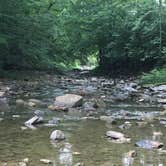 Review photo of Quaker Area — Allegany State Park State Park by Ashley V., October 11, 2018