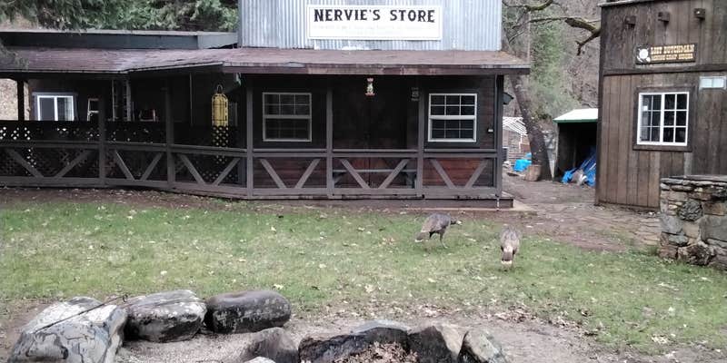 Camper submitted image from LDMA Italian Bar