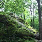 Review photo of Quaker Area — Allegany State Park State Park by Ashley V., October 11, 2018