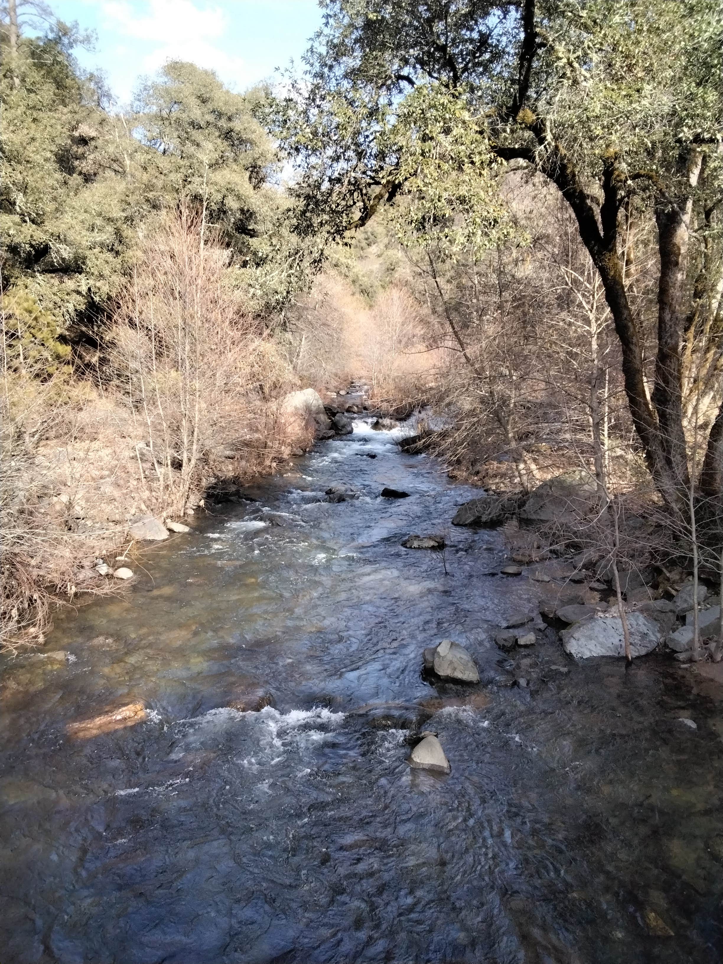 Camper-submitted photo at LDMA Italian Bar near Hathaway Pines, CA