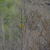 Review photo of Lyons Gulch Campground & River Access by Ben R., May 18, 2023