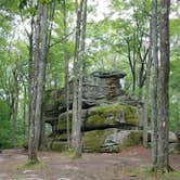 Review photo of Quaker Area — Allegany State Park State Park by Ashley V., October 11, 2018