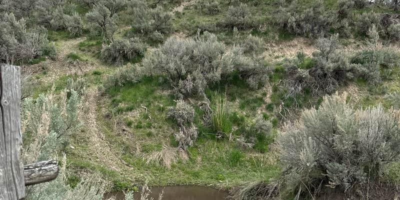 Camper submitted image from Wolverine Adventures