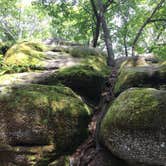 Review photo of Quaker Area — Allegany State Park State Park by Ashley V., October 11, 2018