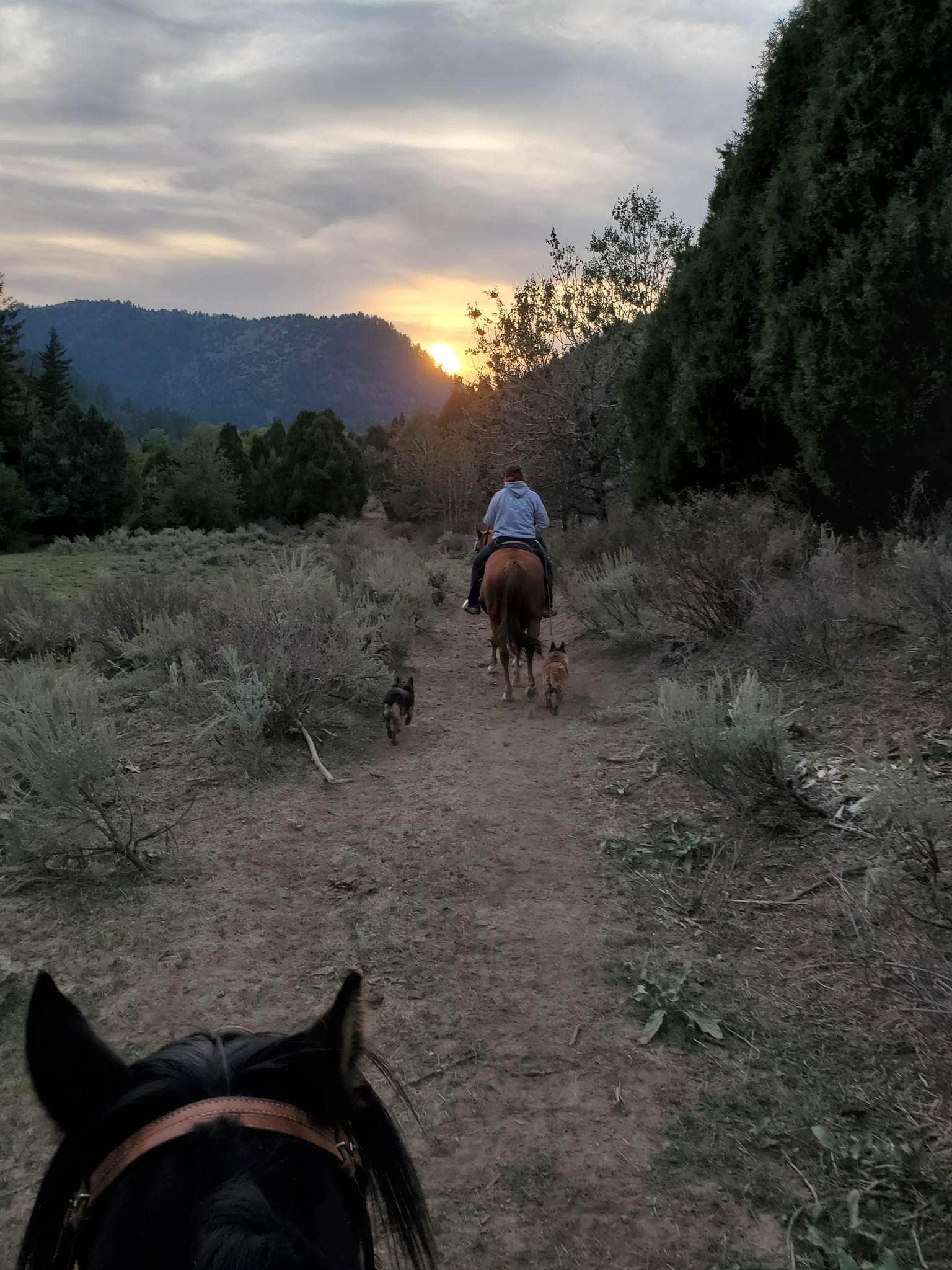 Robyn B.'s photo of camping with pets at Wolverine Adventures near Idaho Falls, ID