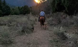 Robyn B.'s photo of camping with pets at Wolverine Adventures near Idaho Falls, ID