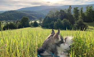 Dianne C.'s photo of camping with pets at Black Creek Maple's Nature Escape and Tent Haven near Jericho, VT