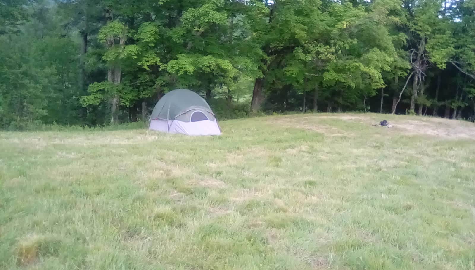 Dianne C.'s photo of tent camping at Black Creek Maple's Nature Escape and Tent Haven near Eden Mills, VT