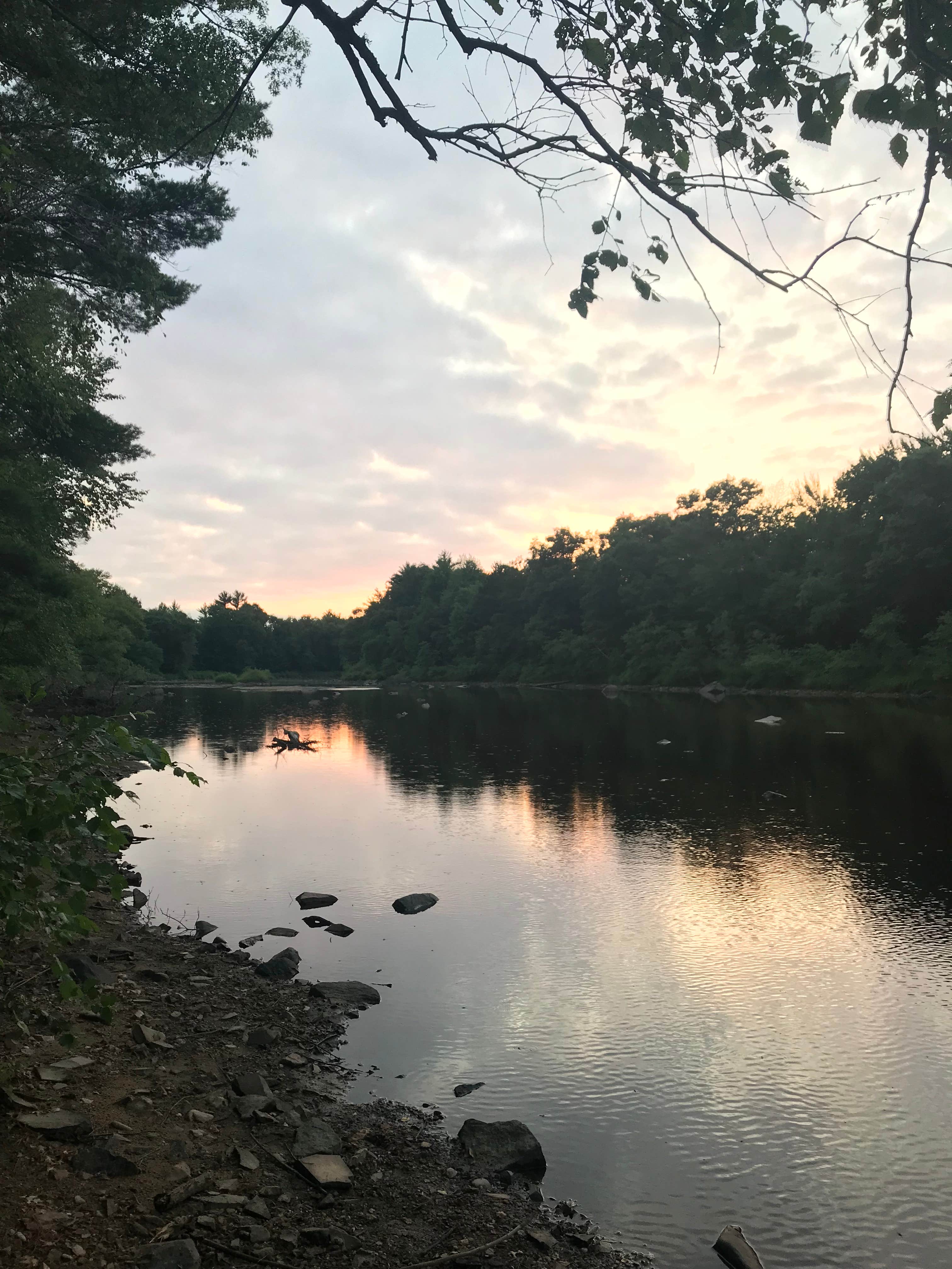 The river right off our campsite 