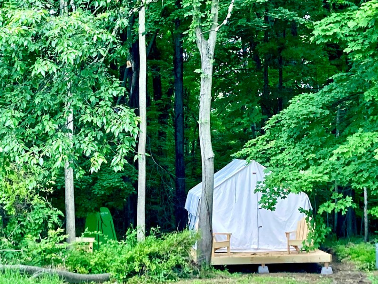 Saraj B.'s photo at Tentrr Signature Site - FRISKY SWARD Upper Forest near Red Hook, NY