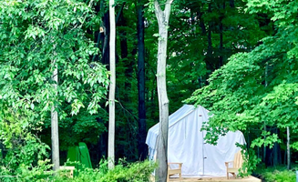 Saraj B.'s photo at Tentrr Signature Site - FRISKY SWARD Upper Forest near Tivoli, NY