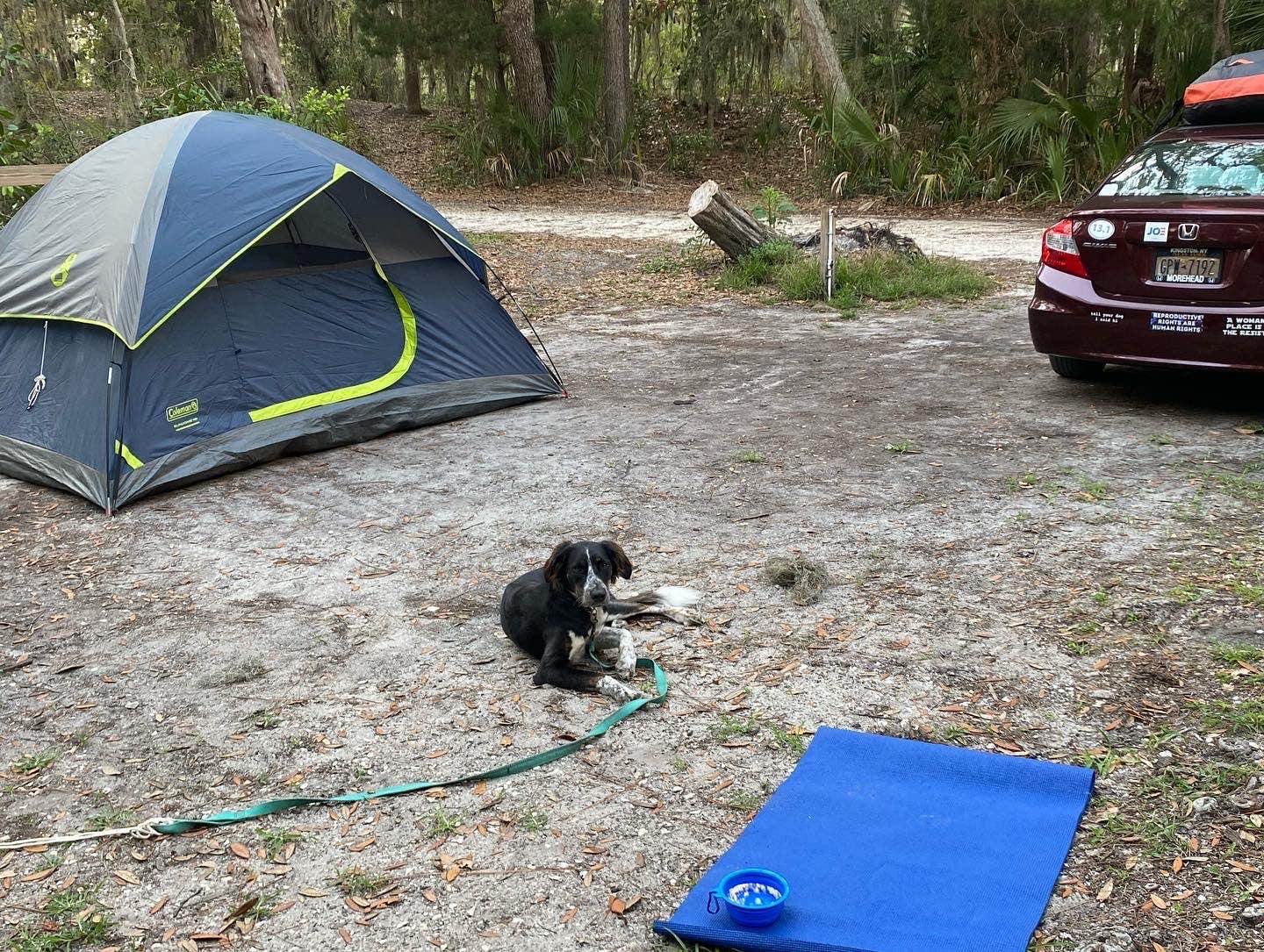 kristen A.'s photo at Little Talbot Island State Park Campground near Jacksonville, FL