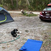 Review photo of Little Talbot Island State Park by kristen A., May 18, 2023