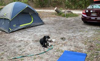 kristen A.'s photo at Little Talbot Island State Park Campground near Ponte Vedra Beach, FL