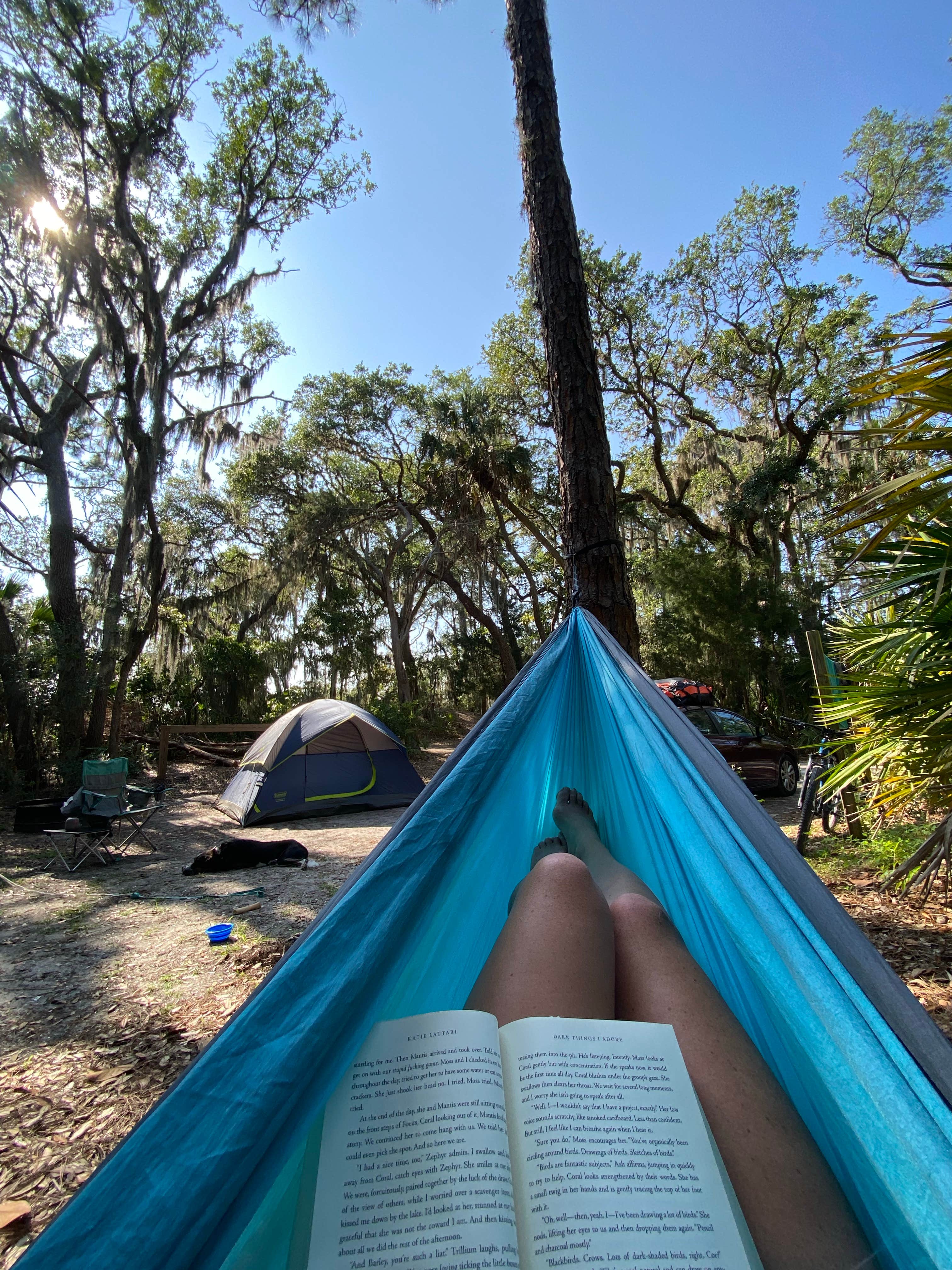 kristen A.'s photo at Little Talbot Island State Park Campground near Jacksonville, FL