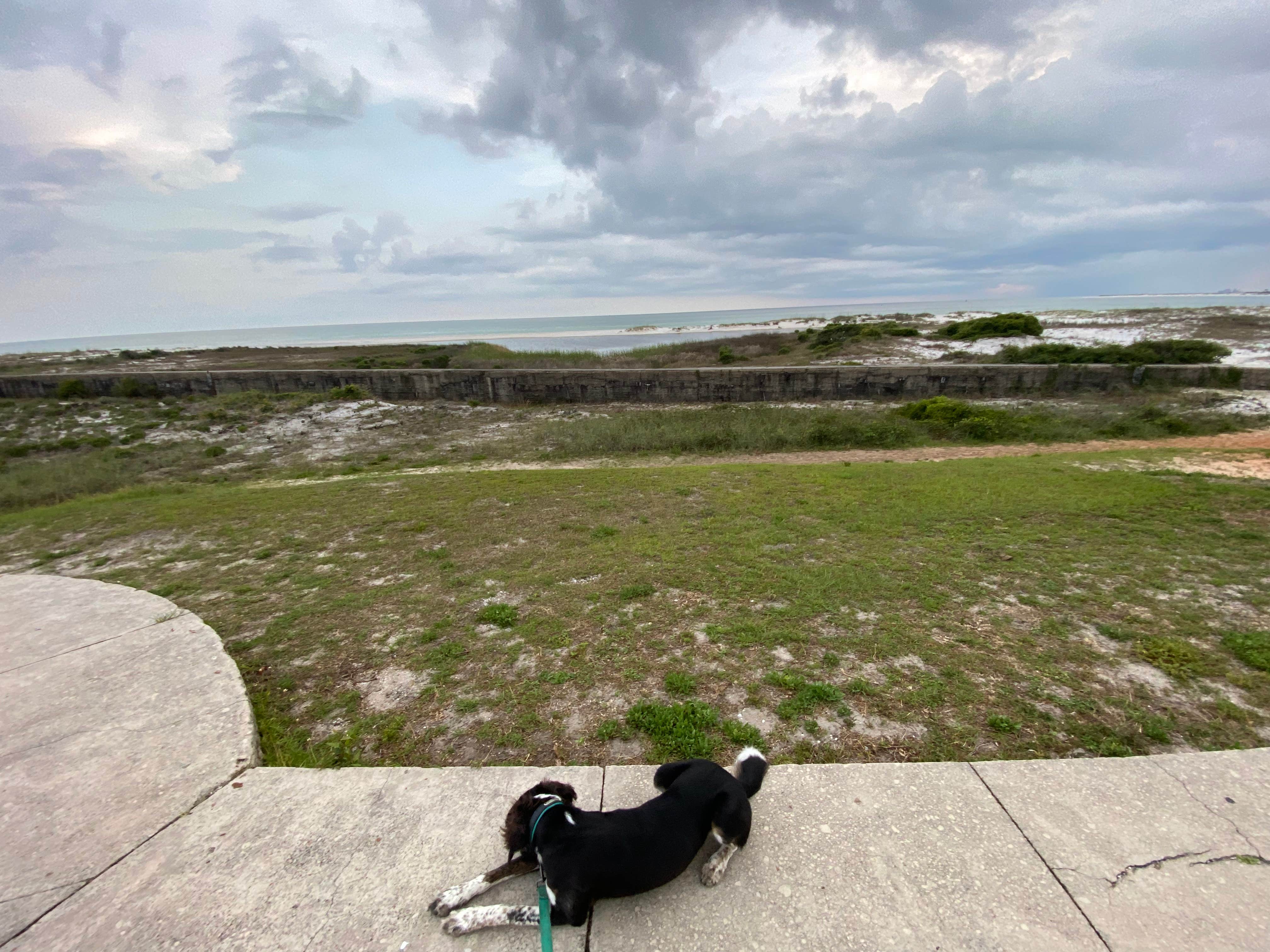 are dogs allowed at fort pickens
