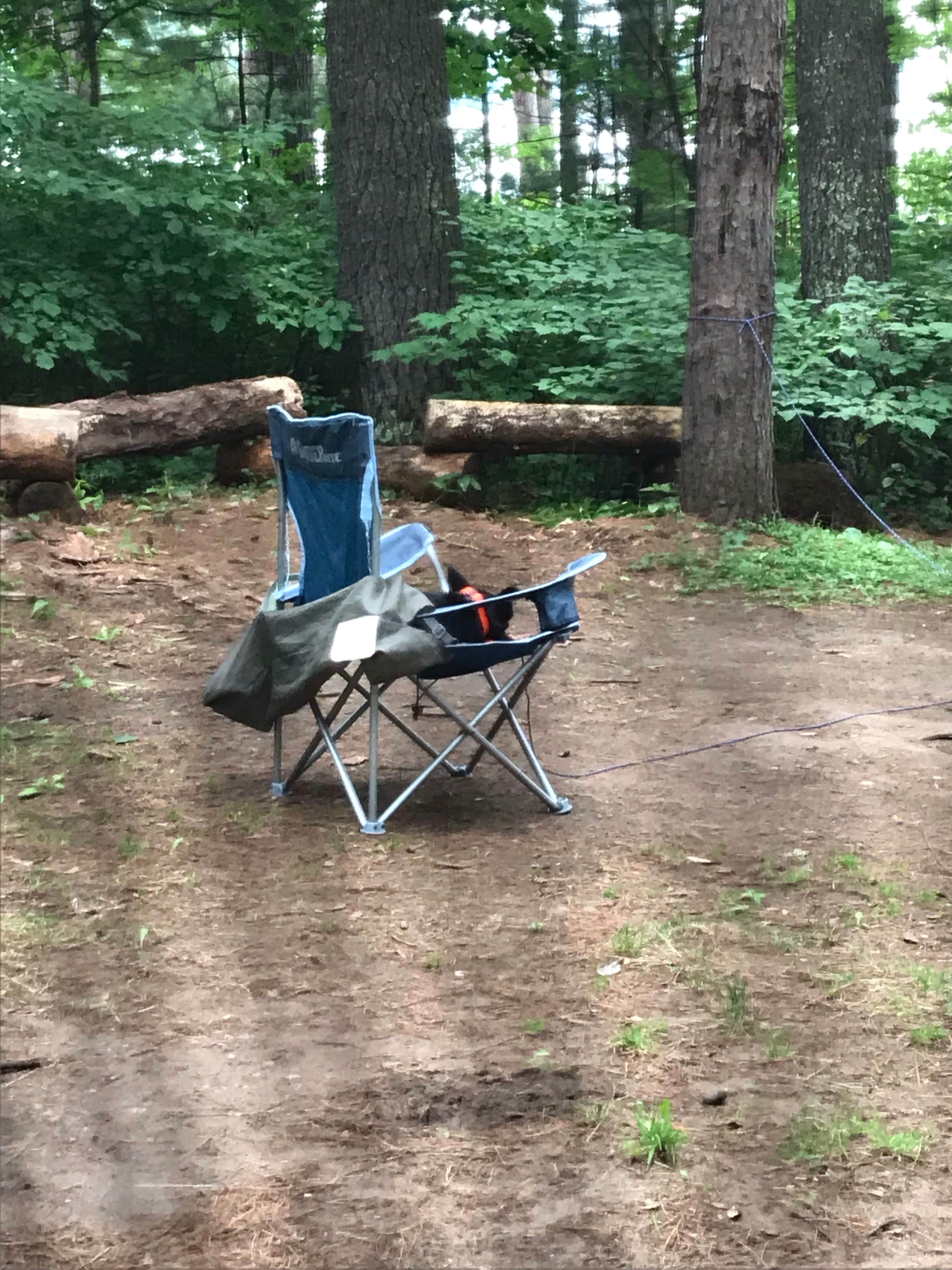 Camper submitted image from North Trout Lake Campground — Northern Highland State Forest - 5