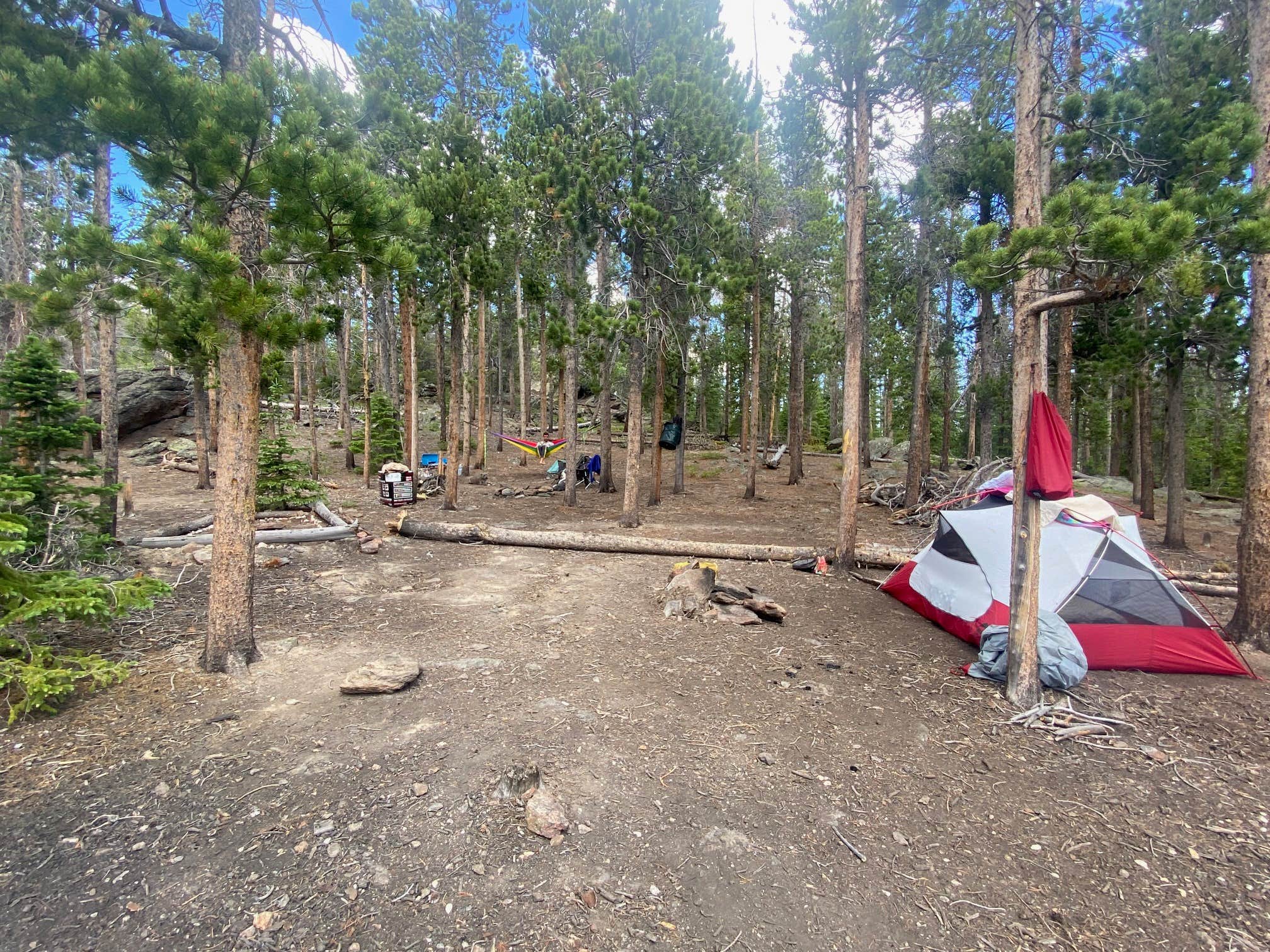 Crystal G.'s photo of a dispersed camping area at Deadman Road - Dispersed Site near Jelm, WY