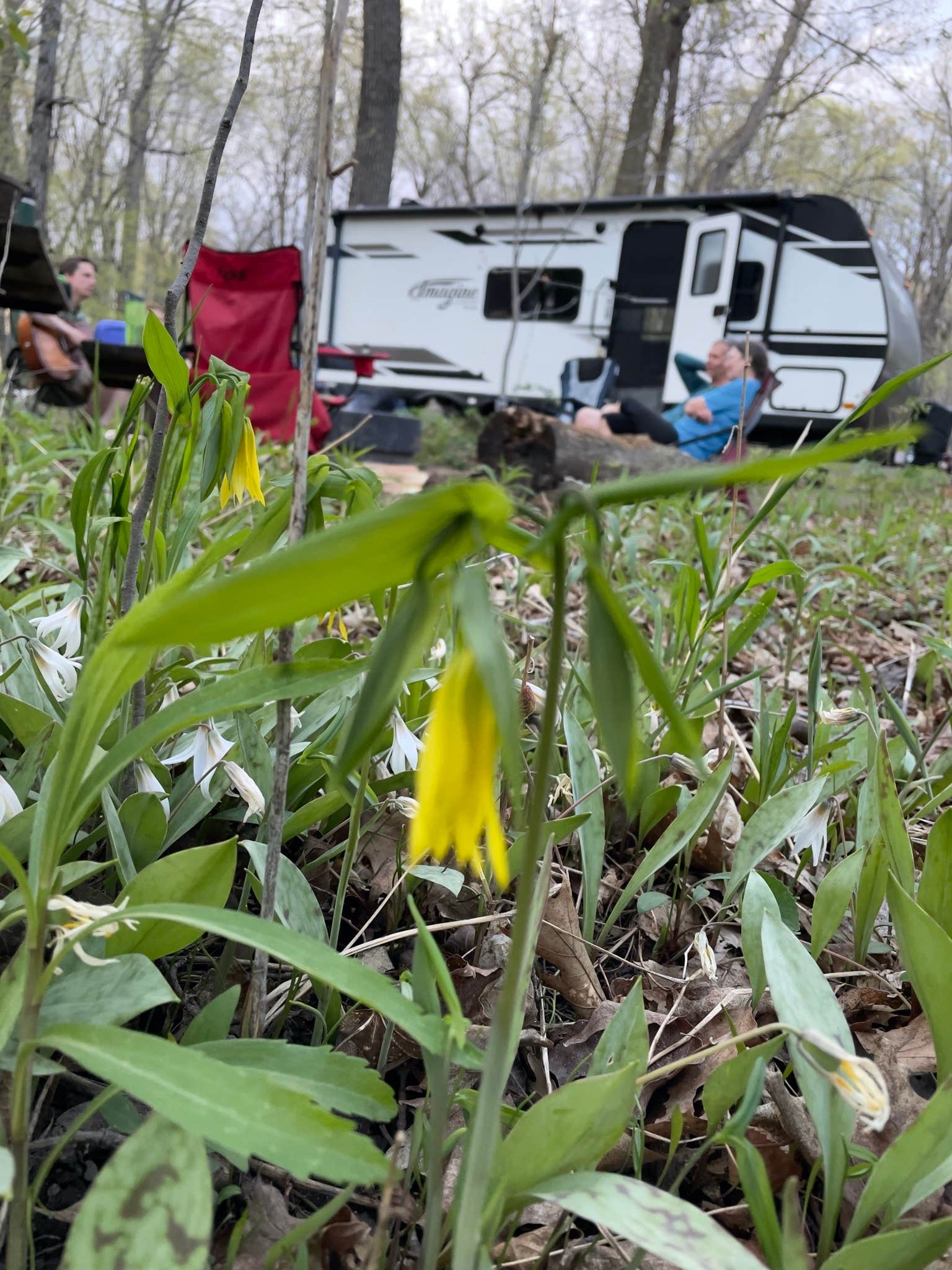 Timothy W.'s photo of rv camping at Nerstrand Big Woods State Park Campground near Vermillion, MN