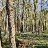 Review photo of Nerstrand Big Woods State Park Campground by Timothy W., May 18, 2023