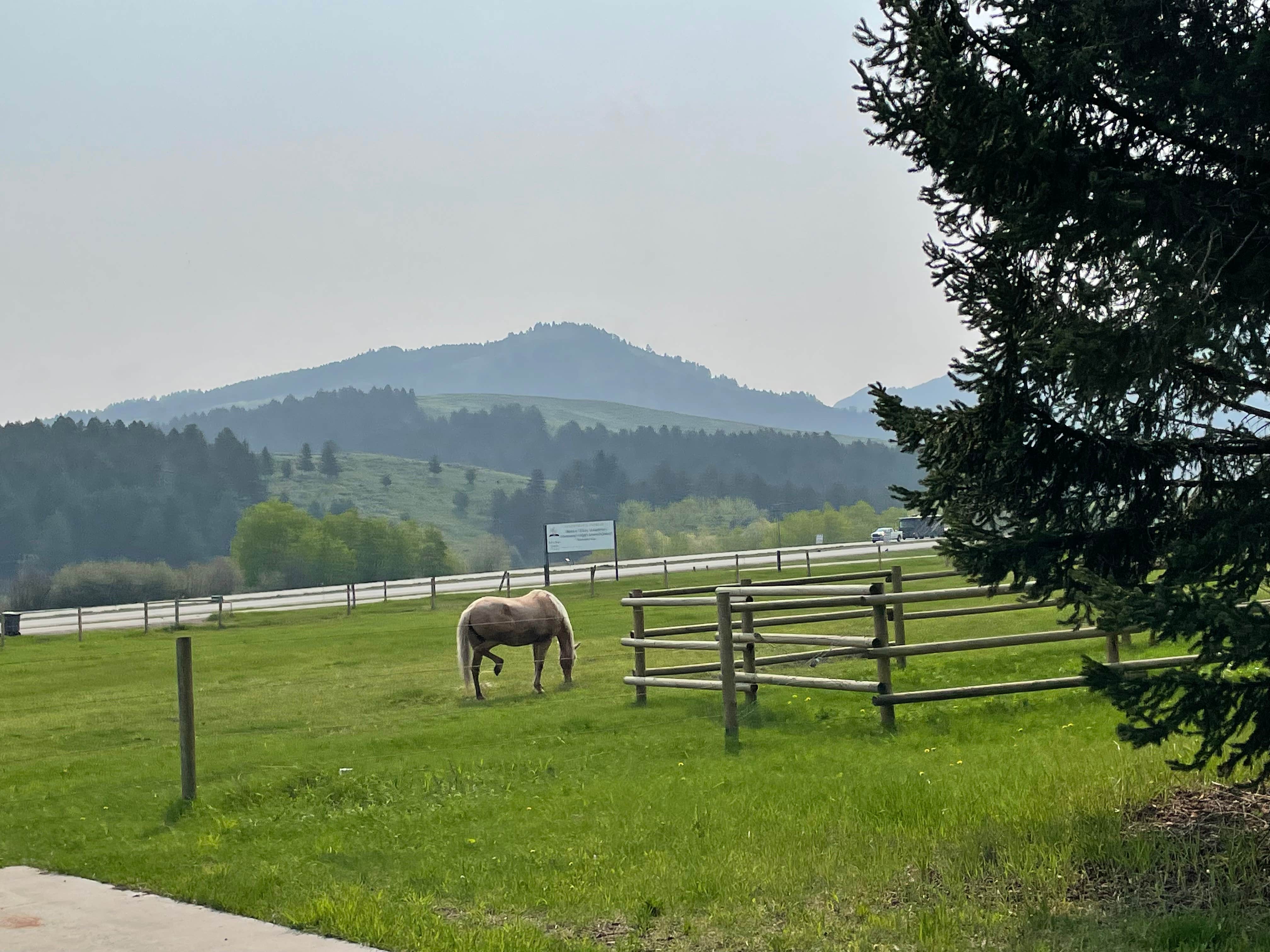 Camper-submitted photo at VangoBoon near Three Forks, MT