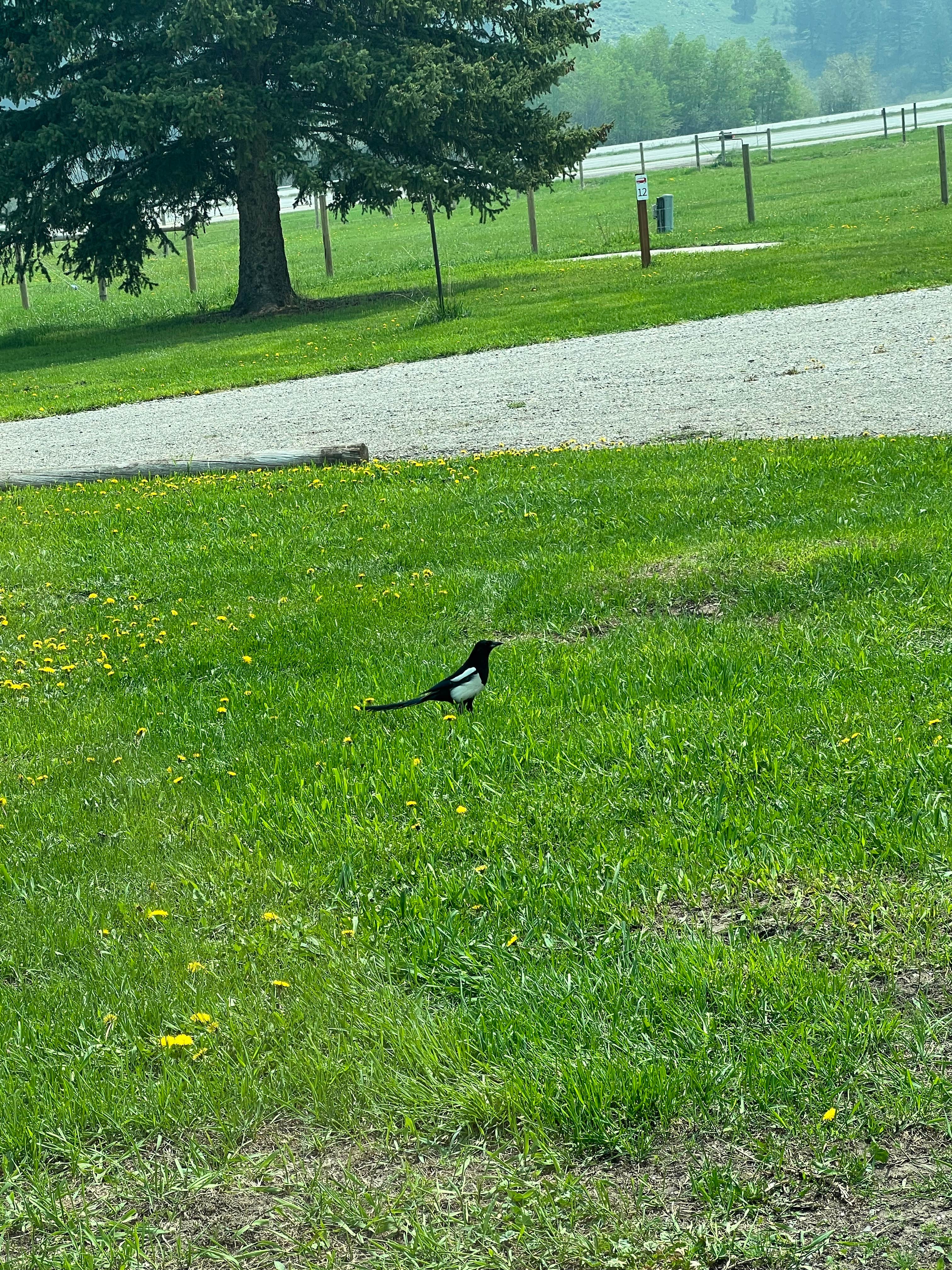 Camper-submitted photo at VangoBoon near Three Forks, MT
