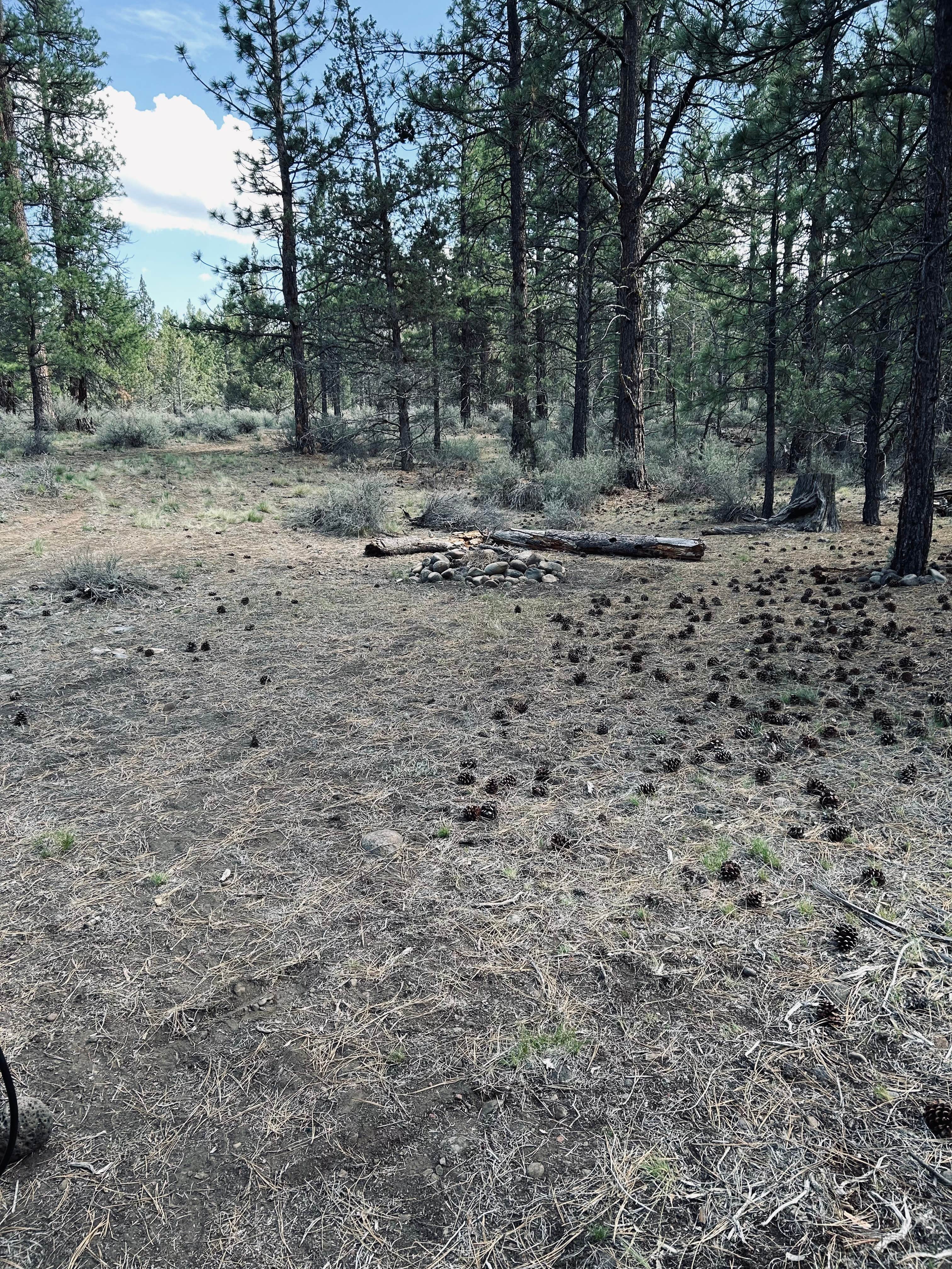 Camping near Indian Ford Campground: Chipmunk Mountain Basecamp on Forest Road 4606, Sisters, Oregon