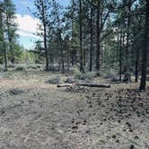 Review photo of Chipmunk Mountain Basecamp on Forest Road 4606 by Huey W., May 18, 2023