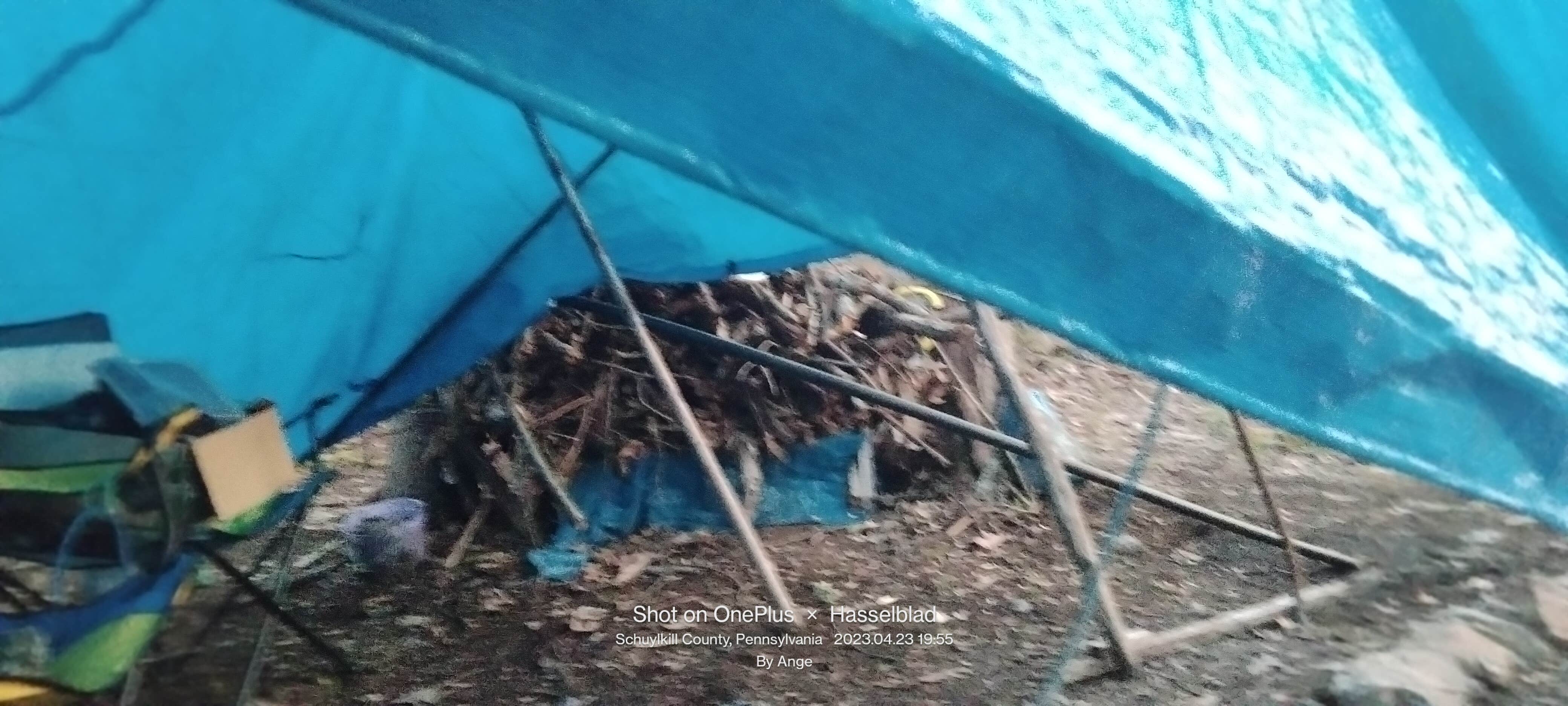 Ange S.&#x27;s photo of tent camping at Camp Mountain City near Blandon, PA