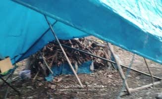 Ange S.'s photo of tent camping at Camp Mountain City near Oley, PA