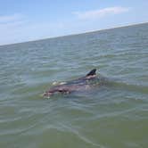 Review photo of River's End Campground & RV Park by Rich F., October 11, 2018