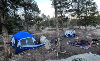 Anthony R.'s photo at Gordon Gulch Dispersed Area near Rollinsville, CO