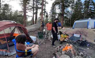 Anthony R.'s photo at Gordon Gulch Dispersed Area near Rollinsville, CO