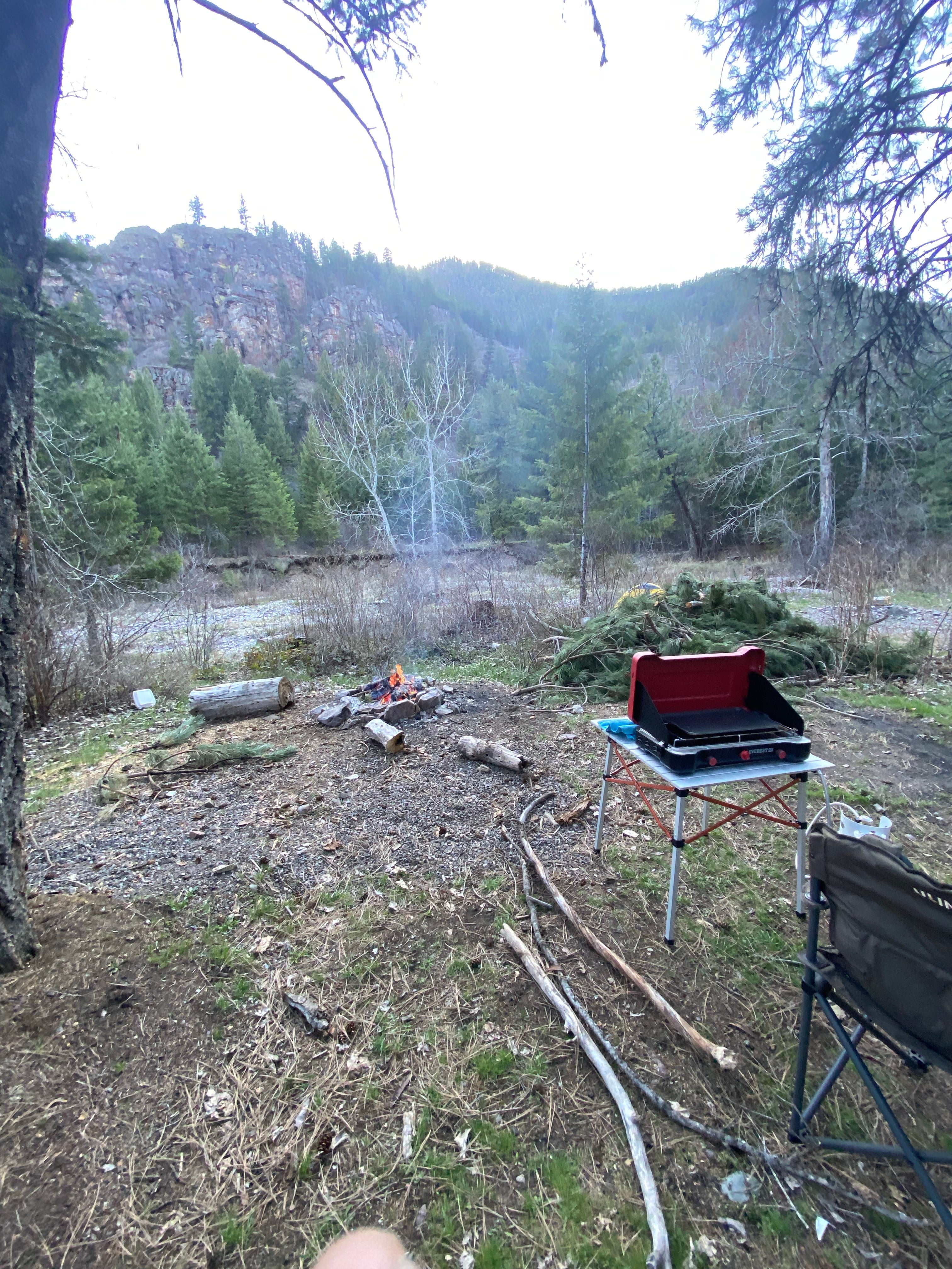 Camper submitted image from Petty Creek Road Dispersed Camping - 1