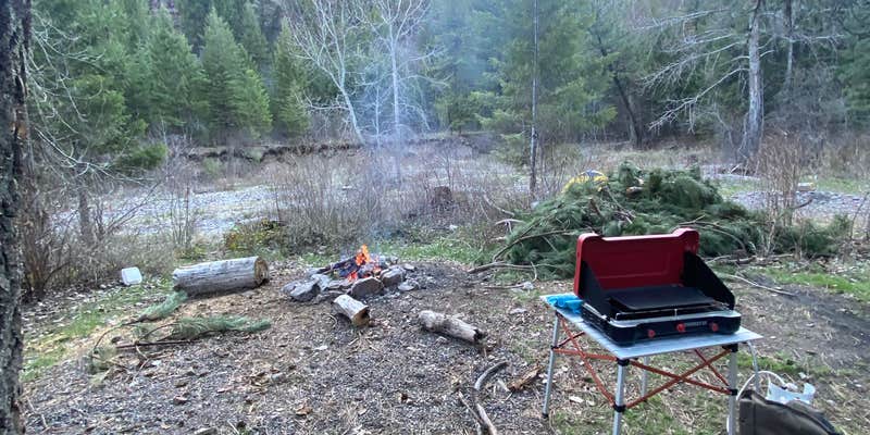 Camper submitted image from Petty Creek Road Dispersed Camping