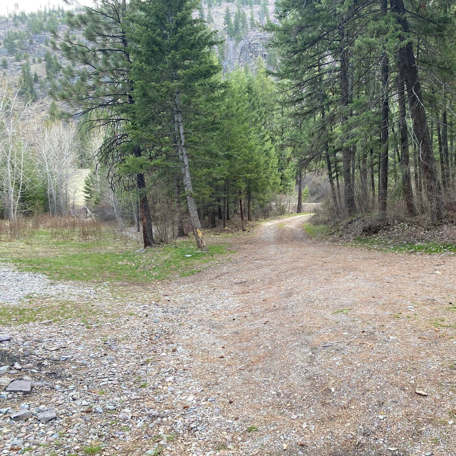 Petty Creek Road Dispersed Camping Camping The Dyrt