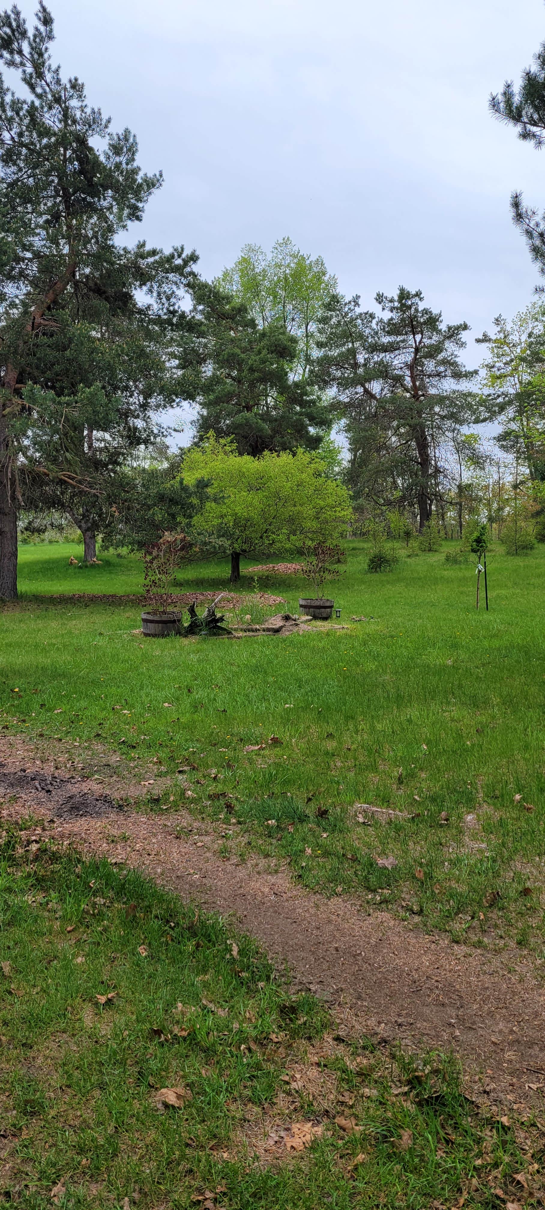 Camper-submitted photo at Colemans near Black River, MI