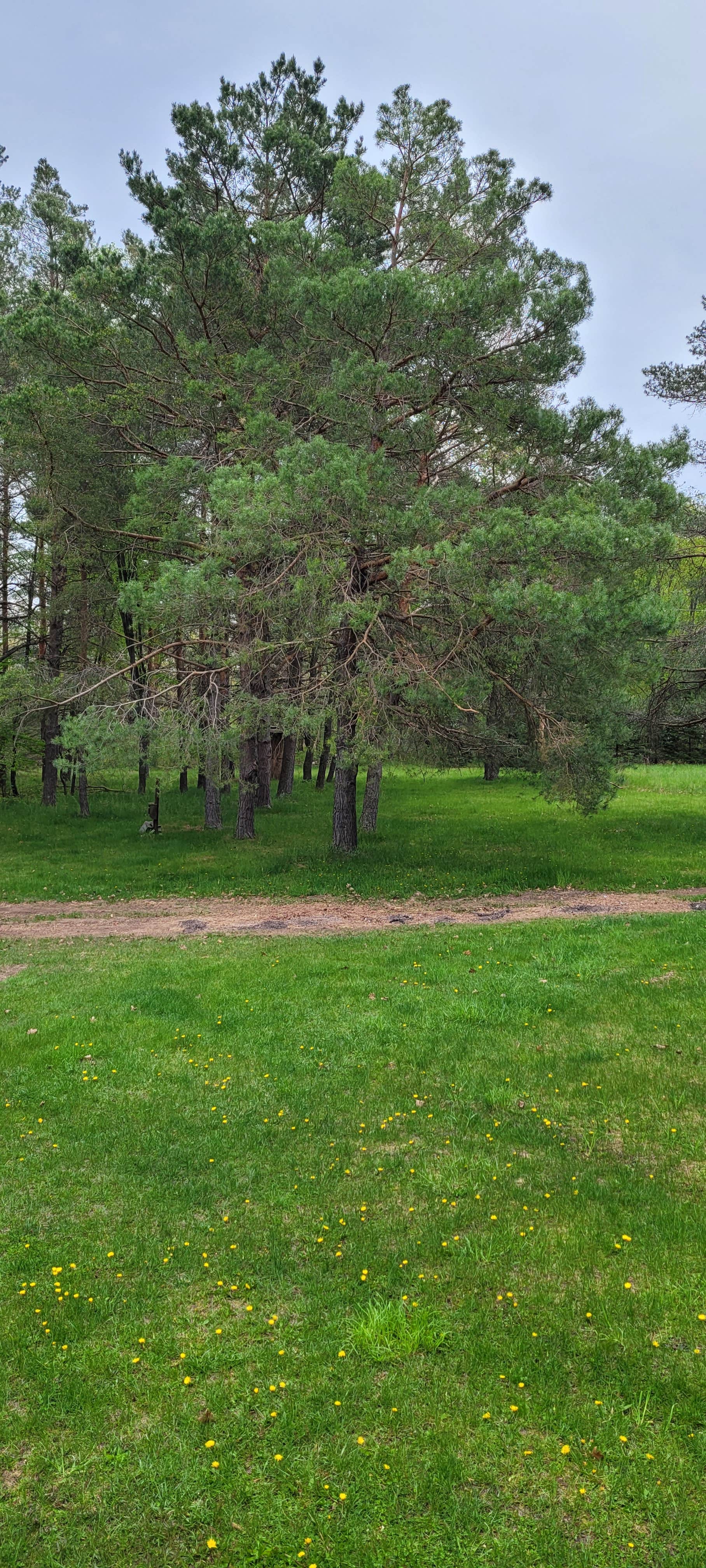 Camper-submitted photo at Colemans near Black River, MI