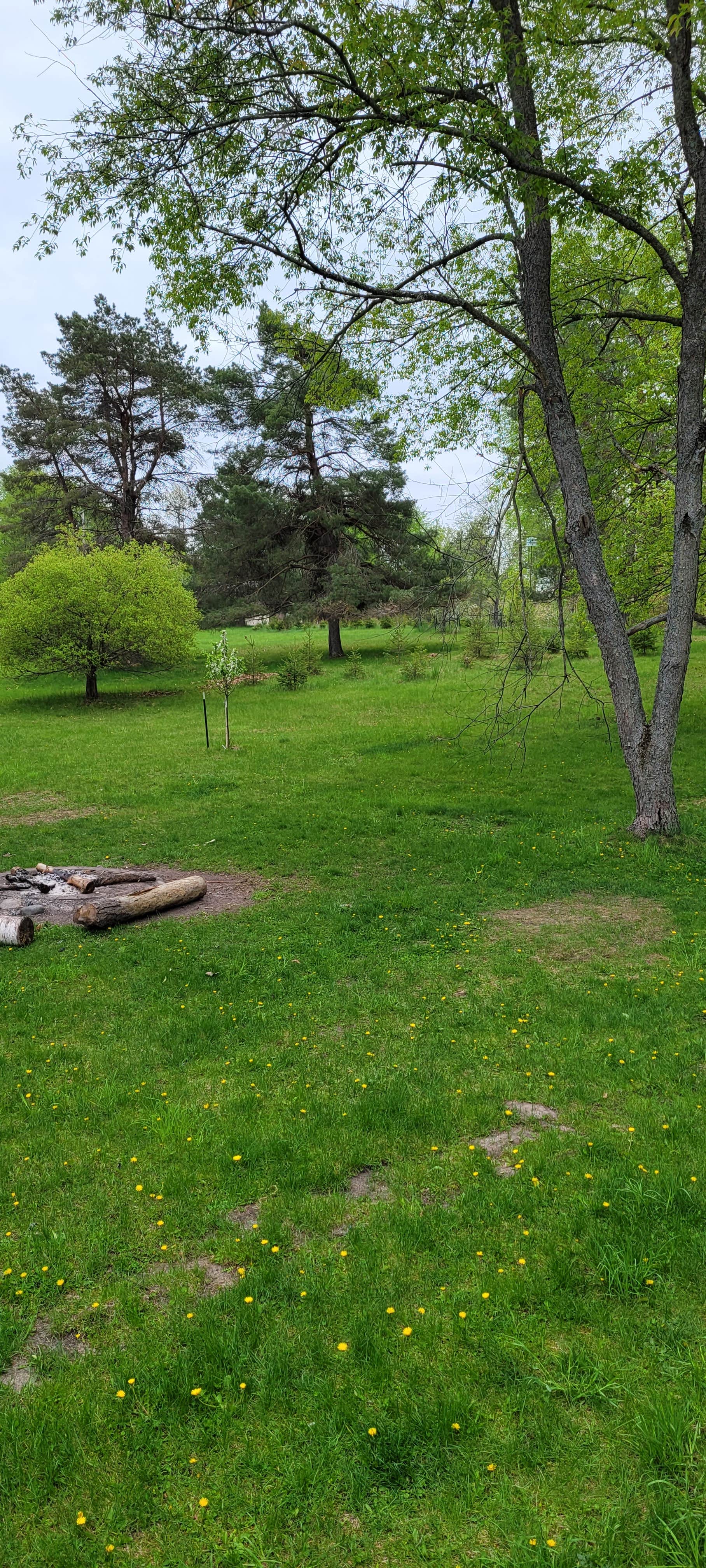 Camper-submitted photo at Colemans near Black River, MI