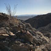 Review photo of Agua Caliente County Park Campground by Andy H., October 11, 2018