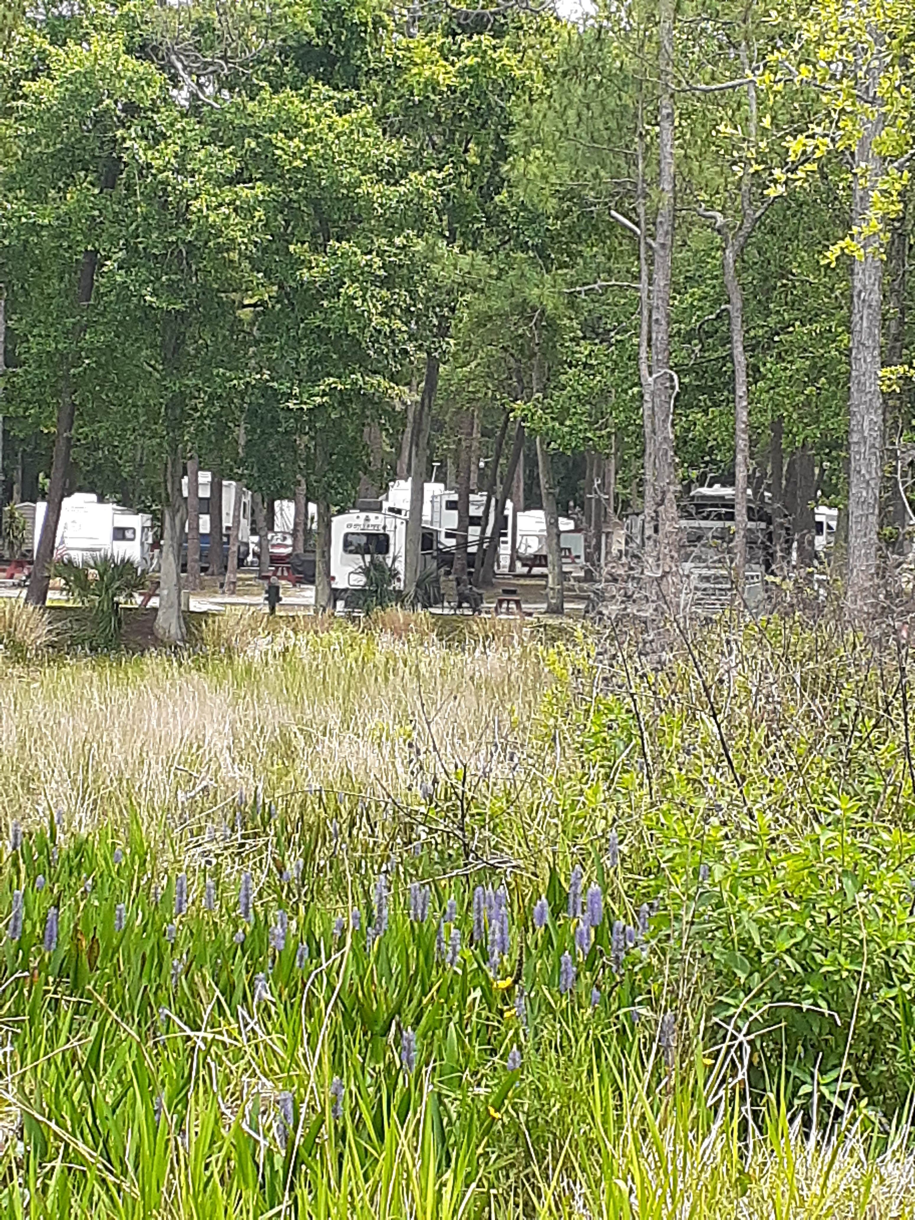 Camper-submitted photo at Lake Waldena Resort near Welaka, FL