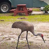 Review photo of Lake Waldena Resort by Cynthia K., May 19, 2023