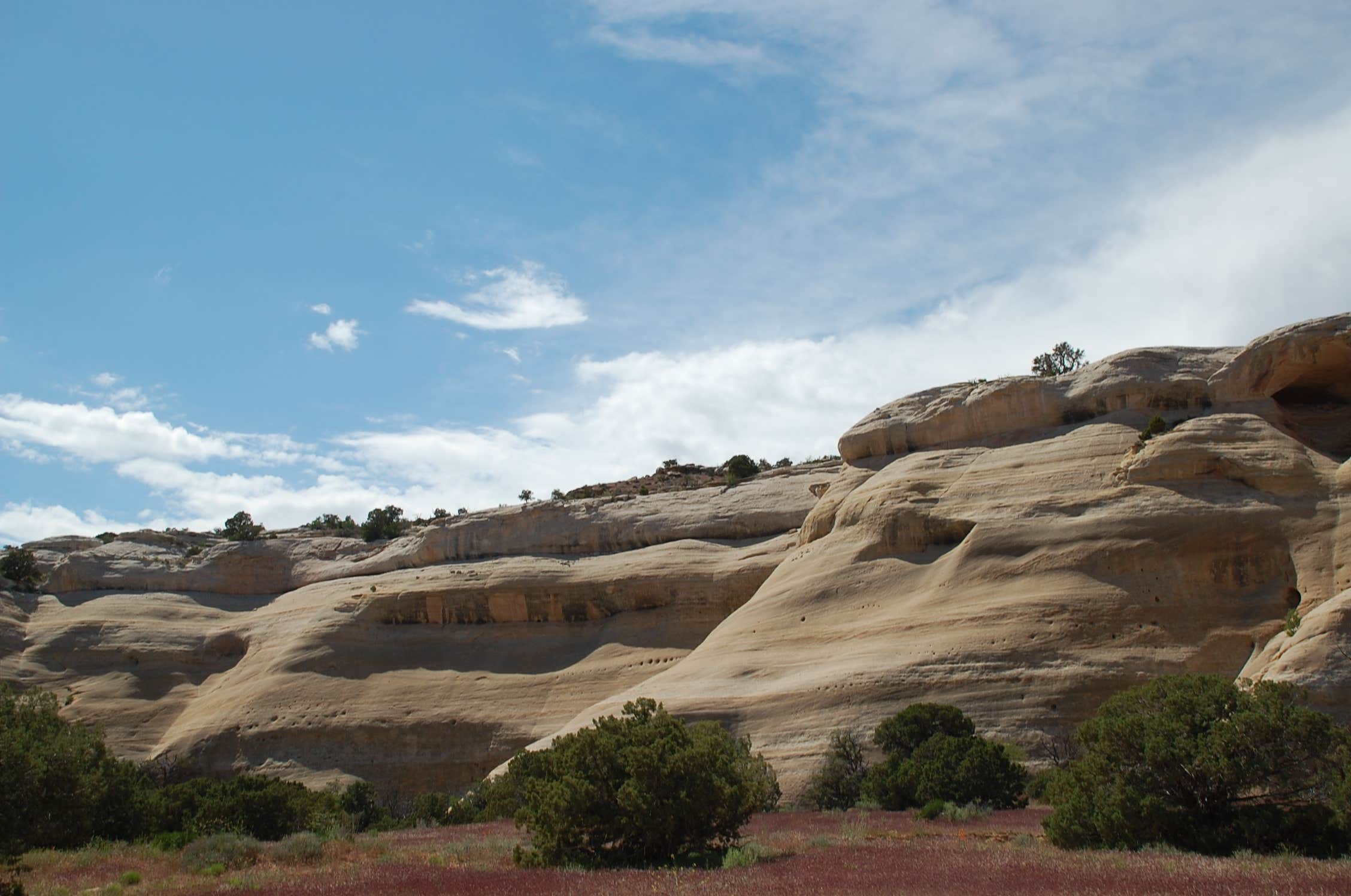 Camper-submitted photo at Knowles Overlook Campground near Mack, CO