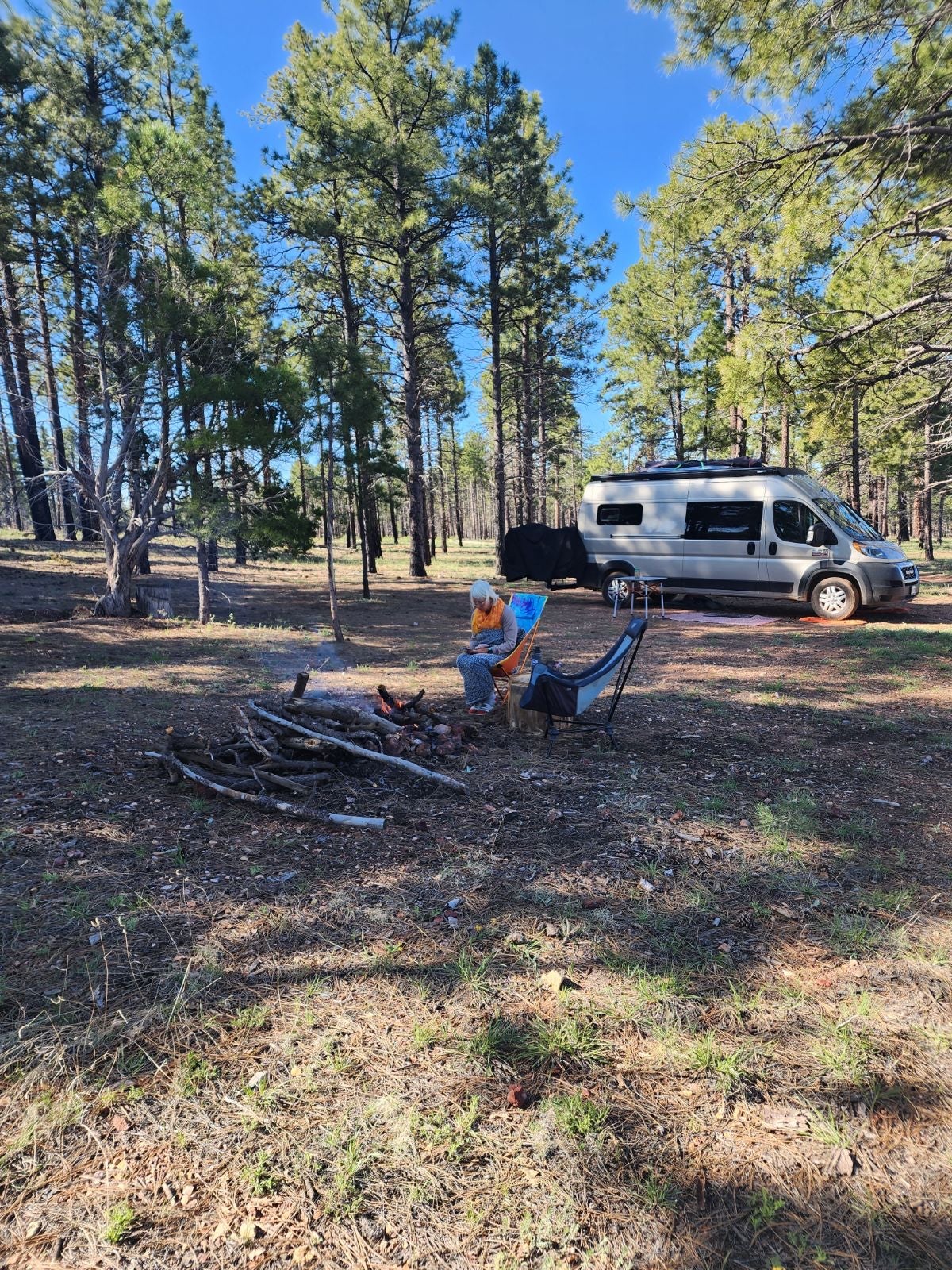 Camper submitted image from Coconino Rim Road, Fire Road 310 Kaibab Forest - 3