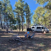 Review photo of Coconino Rim Road, Fire Road 310 Kaibab Forest by melinda , May 19, 2023