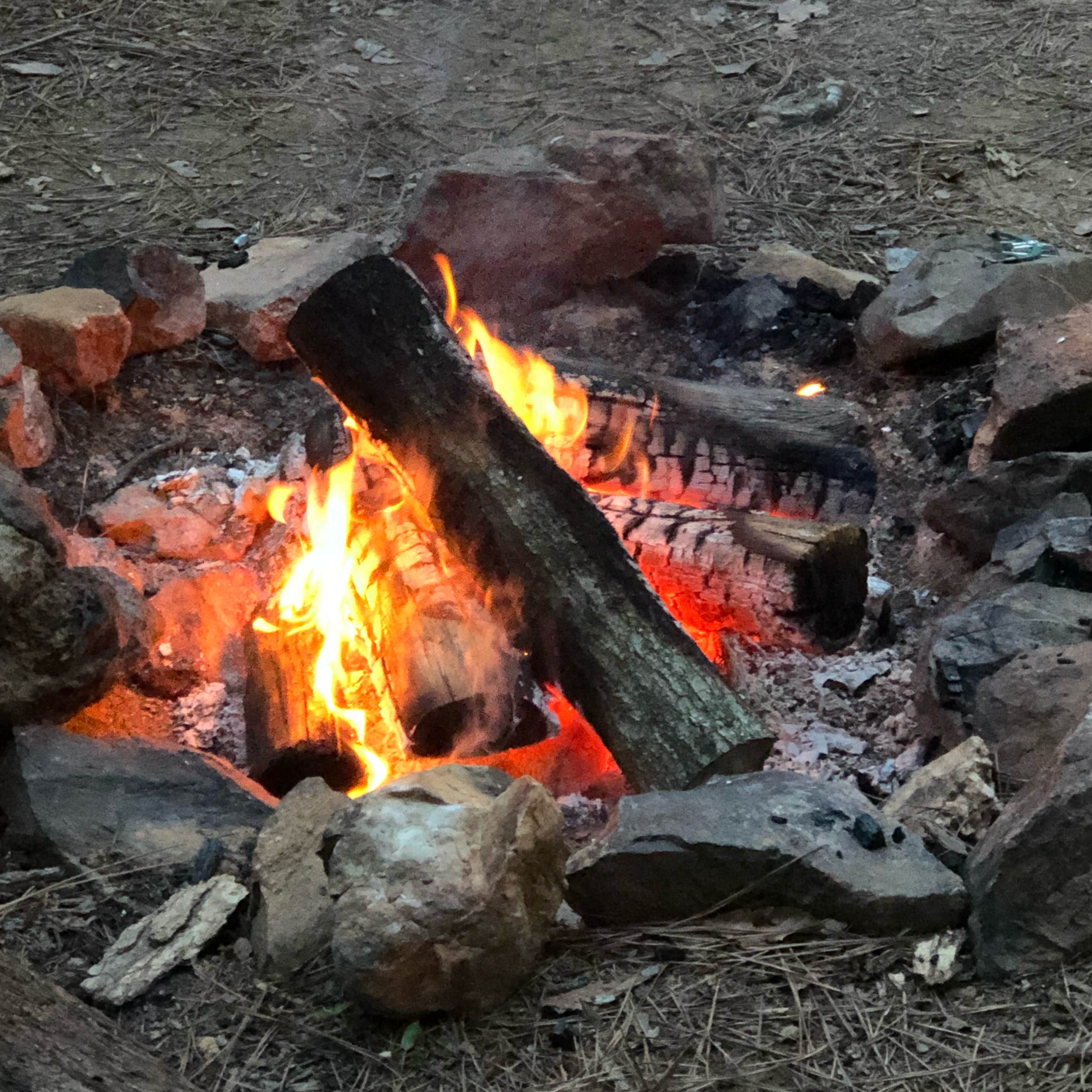 Camping near Small Country Campground: Phantom Hill Forest Farm, Mineral, Virginia