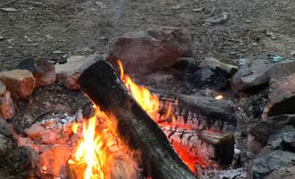 Camping near Powhatan State Park Campground: Phantom Hill Forest Farm, Mineral, Virginia