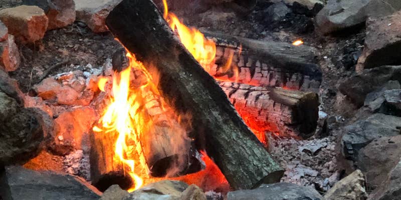 Camper submitted image from Phantom Hill Forest Farm