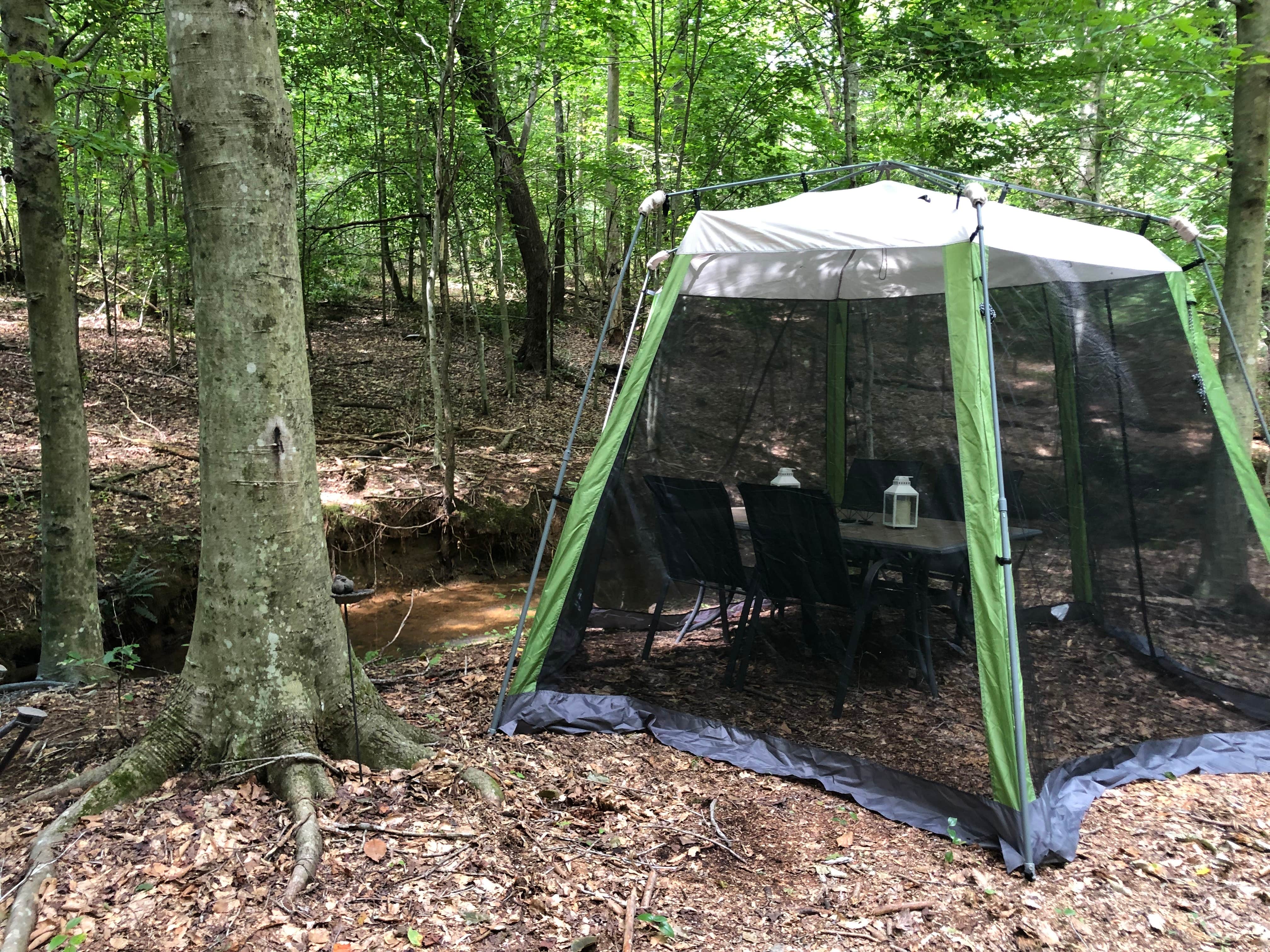 Camper submitted image from Phantom Hill Forest Farm - 3